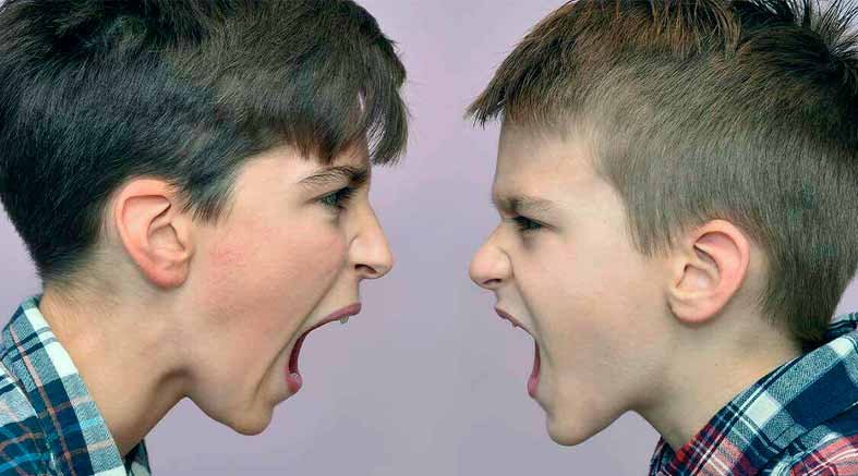 peleas