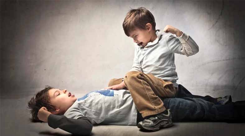 peleas 