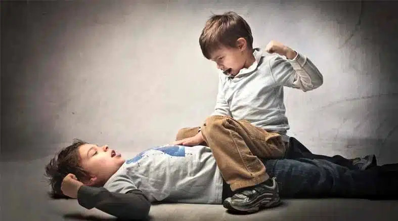 peleas