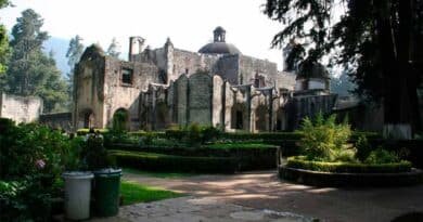 Desierto de los Leones