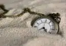 El Tiempo el paso