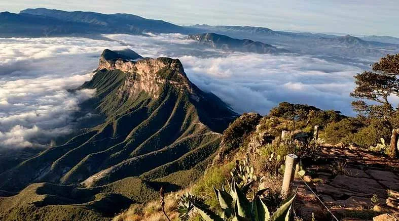 Imperdibles en la Sierra Gorda de Querétaro 1 Gorda