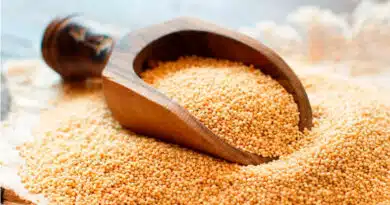 Amaranto: propiedades, beneficios y cómo cocinarlo Amaranto
