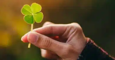 Conoce la ciencia de la suerte de la suerte