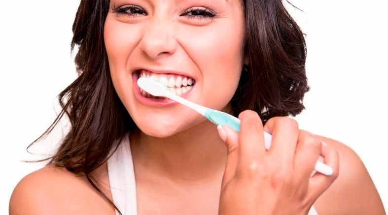 Recomendaciones para el cuidado de los dientes 1 Los dientes