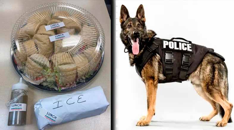 Perro policía