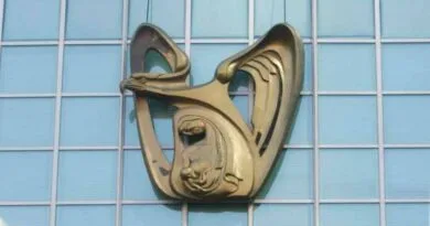 el IMSS enfermedades