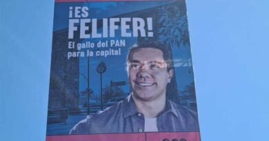 Felifer, una fantasiosa carrera política
