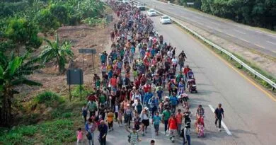 Migrantes