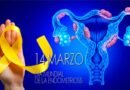 14 de marzo Día Mundial de la Endometriosis