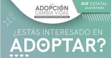 Adopciones 2024