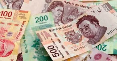 Metas financieras para mejorar tu economía El peso financieras