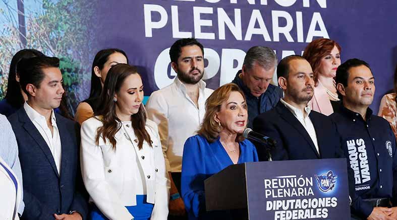 Lupita Murguía coordinará la bancada del PAN en el Senado 1 Lupita