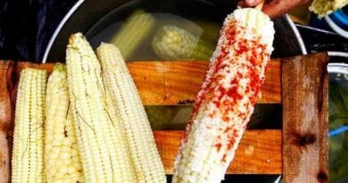 Elotes