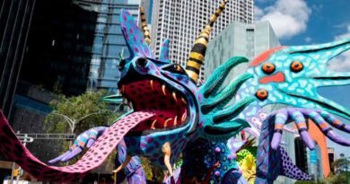 Desfile de Alebrijes