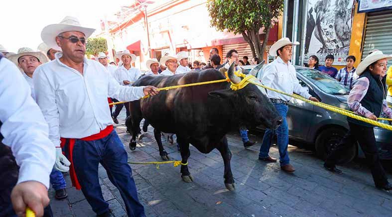 Paseo del Buey