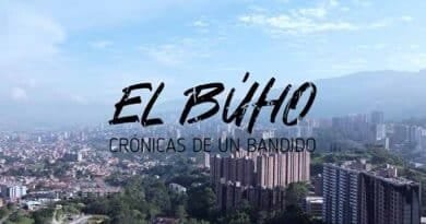 Búho