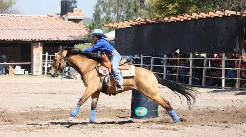 Inicia en Querétaro clasificatoria de rodeo hacia los Nacionales 1 Inicia