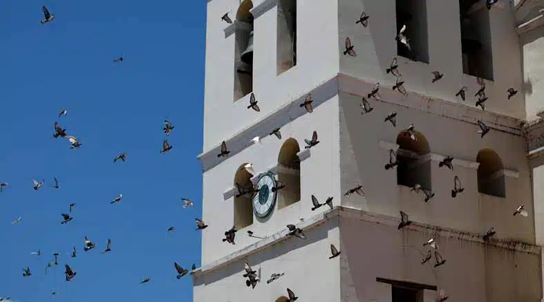 El reloj