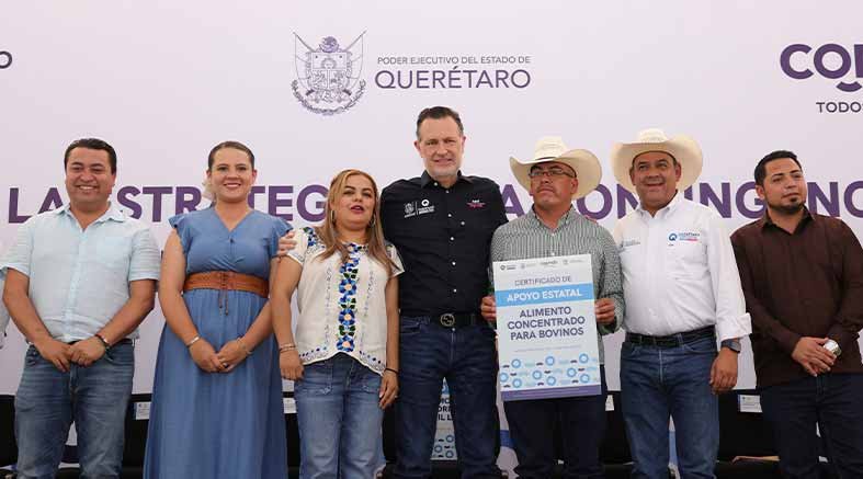 Entrega 