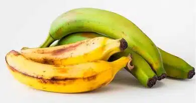 ¿Es perjudicial ingerir plátano en ayunas? Plátano