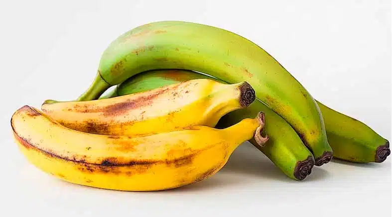 Plátano