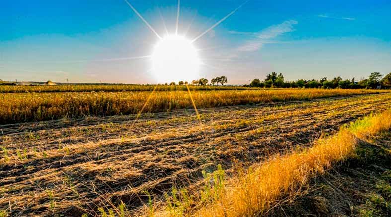 Cuáles son los municipios más calurosos en México 1 los municipios