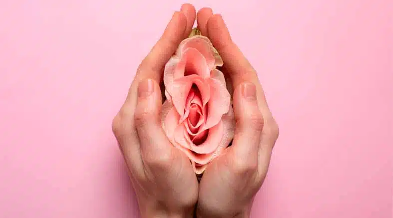 Menopausia