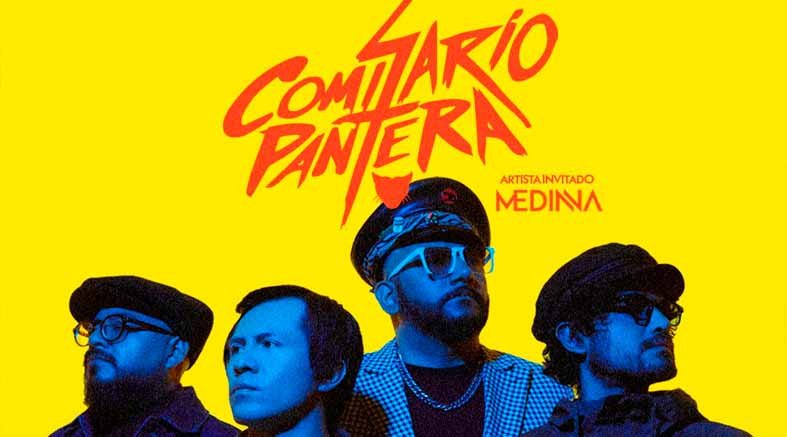 Comisario Pantera