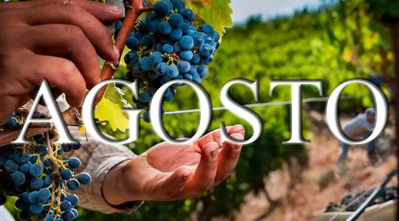 En Agosto no se con templa ningún día como descanso oficial 1 En Agosto