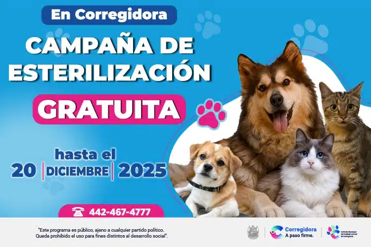 Banner-OKEY-QRO_750pxX500px_ESTERILIZACION