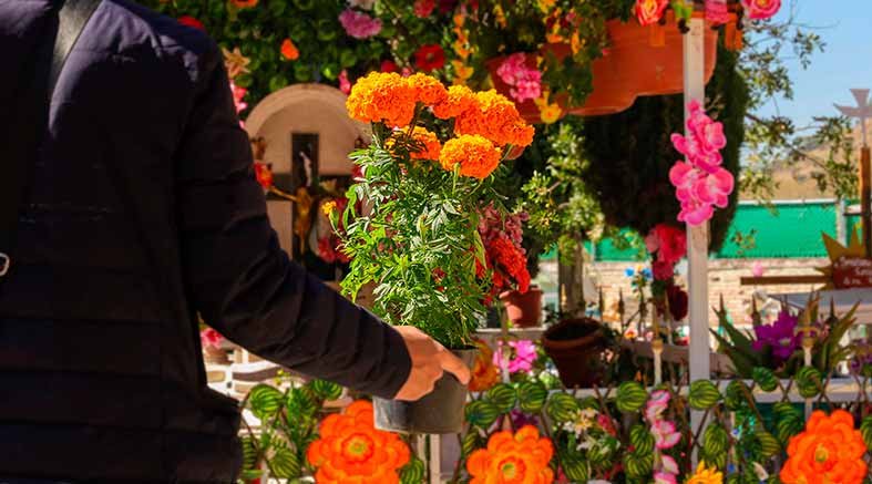Panteones de Corregidora listos para el Día de Muertos 1 Panteones