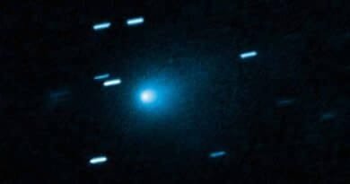Cometa 3I