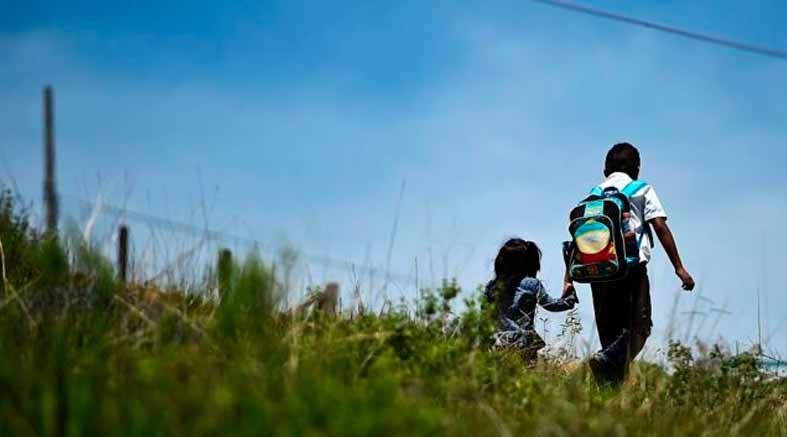 Fallas en educación, salud y seguridad frenan progreso social en México 1 Fallas