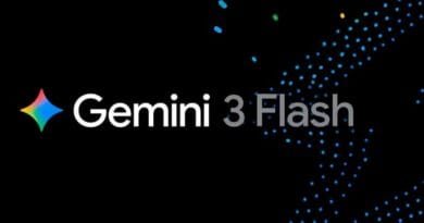 Gemini 3 Flash
