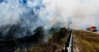 Incendio