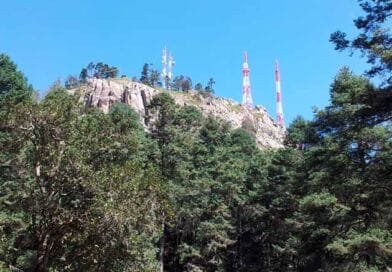 Buscarán