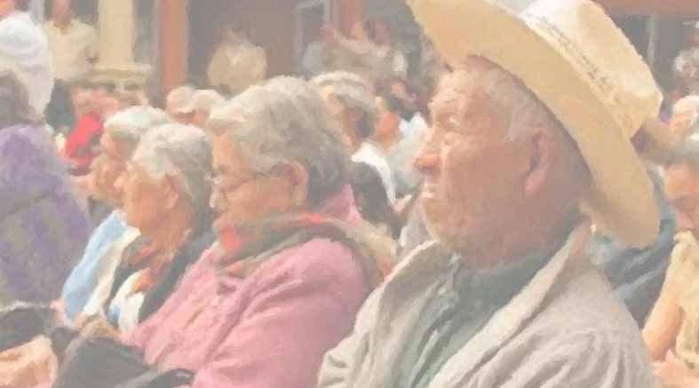"Adultos mayores ¿un partido para ellos?” 1 un partido para