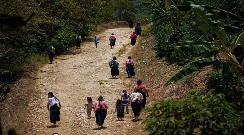 Pueblos indígenas de Chiapas denuncian despojo territorial 1 Pueblos