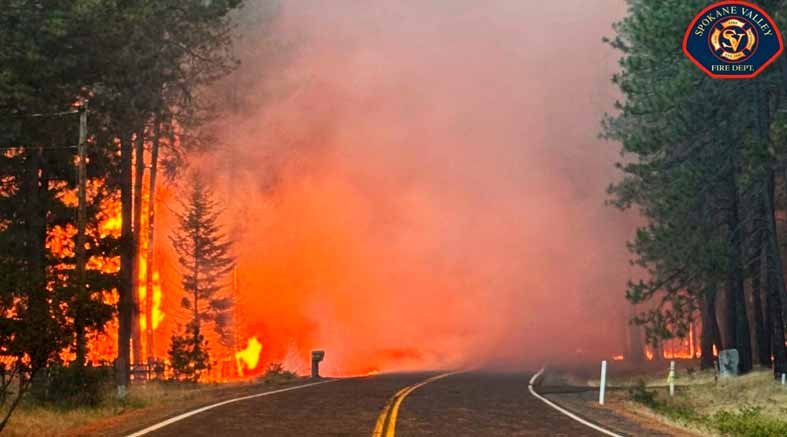 EE.UU. declara emergencia por incendios sin control en el noroeste 1 EE