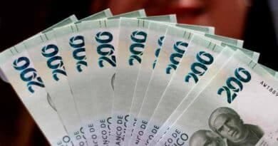 La deuda pública de México se eleva al 51 % del PIB La deuda