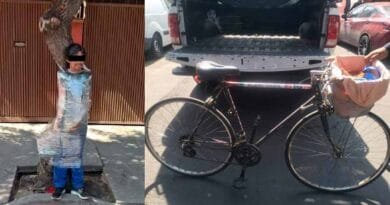 Vecinos emplayan a ladrón de bicicleta contra un árbol Vecinos