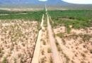 Arizona