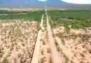 Arizona