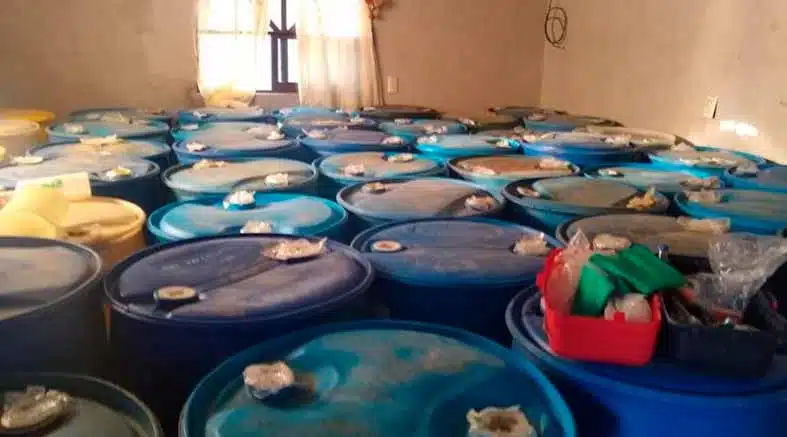 Decomisan 20 mil 900 litros de huachicol en Pachuca, Hidalgo 1 Decomisan