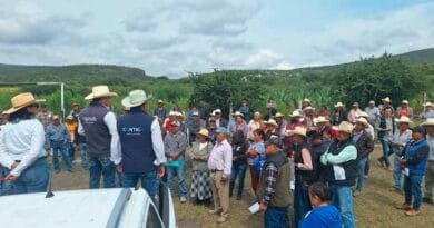 SEDEA entrega semilla forrajera en municipios del semidesierto SEDEA
