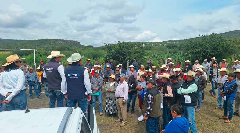 SEDEA entrega semilla forrajera en municipios del semidesierto 1 SEDEA