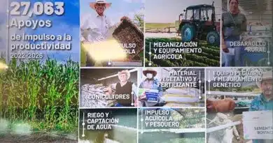 SEDEA entrega apoyos a la fuerza productiva de Querétaro SEDEA