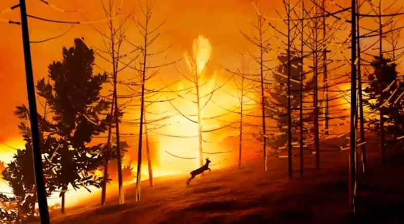Los Ángeles se prepara para un fenómeno "El Niño" sin precedentes 1 Los Ángeles