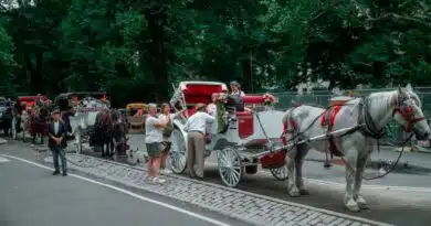 Nueva York se encamina a prohibir los carruajes a partir de 2028 Nueva York